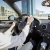 TomTom GO 6200 Navigationsgerät